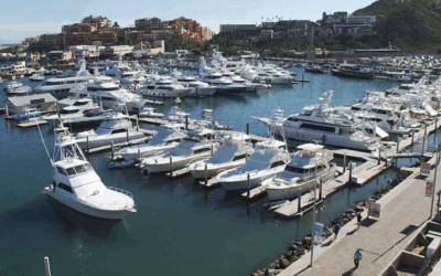 Nuova Partnership Strategica tra Ocean Posse e Assonat-Confcommercio!